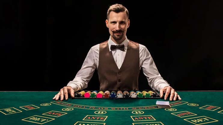 z6 bet